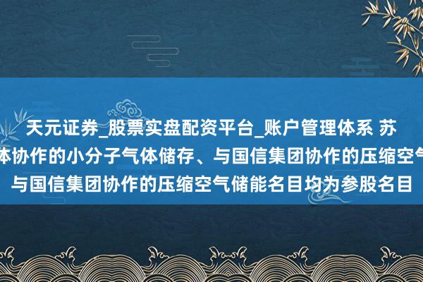 天元证券_股票实盘配资平台_账户管理体系 苏盐井神：公司与广钢气体协作的小分子气体储存、与国信集团协作的压缩空气储能名目均为参股名目