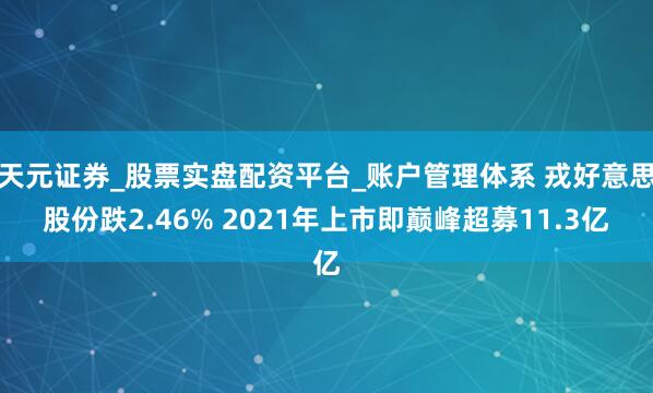 天元证券_股票实盘配资平台_账户管理体系 戎好意思股份跌2.46% 2021年上市即巅峰超募11.3亿