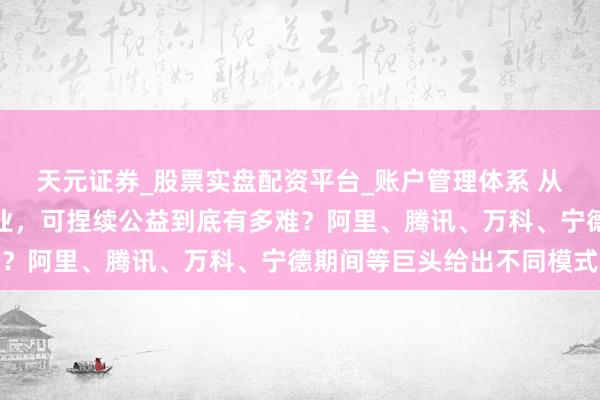 天元证券_股票实盘配资平台_账户管理体系 从李亚鹏嫣然病院到大企业，可捏续公益到底有多难？阿里、腾讯、万科、宁德期间等巨头给出不同模式